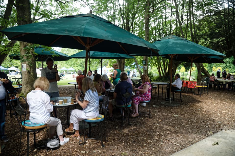 People sitting under green parasols at an outdoor garden cafÃ©, seen from behind and afar (illustrative)