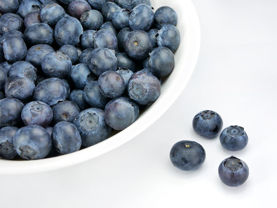 A white dish of fresh blueberries (illustrative)