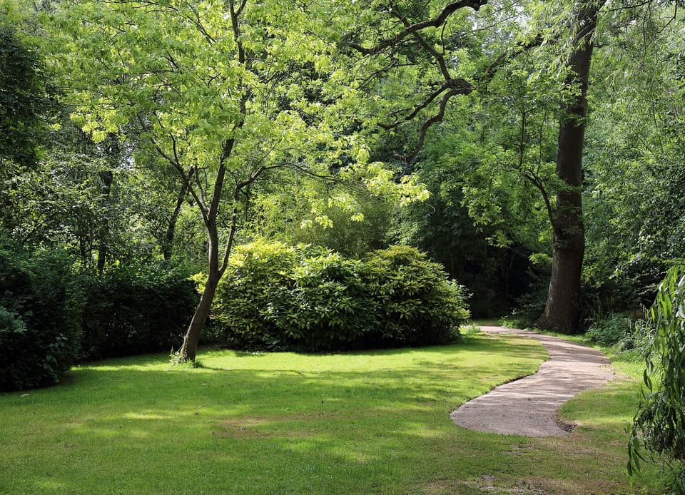 A curving garden path through a green lawn under trees (illustrative)