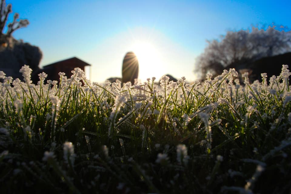 Low winter sun rising over frosted white grass (illustrative)